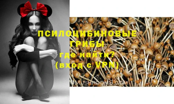 а пвп мука Алзамай